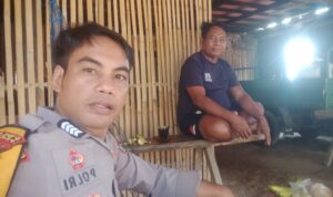 IMG-20251020-WA0113(1)