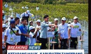 IMG-20251030-WA0112(1)