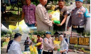 InCollage_20251029_153613990