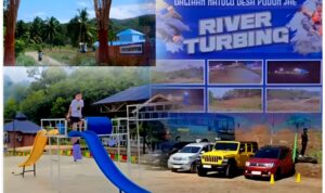 InCollage_20251031_221323738