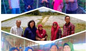 Screenshot_20251013-200507