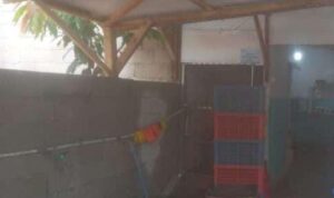 IMG-20251111-WA0490(1)