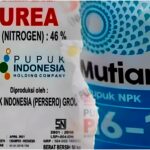 InCollage_20251102_195932655