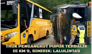 InCollage_20251124_160614390