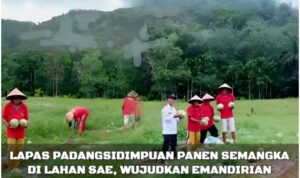 InCollage_20251124_234344001