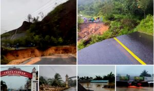 InCollage_20251126_001011470