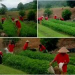 Screenshot_20251111_204842_BIGO LIVE