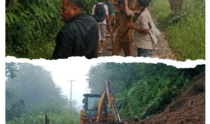 Screenshot_20251119-185100