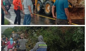 Screenshot_20251122-224502