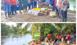 Screenshot_20251124-121720