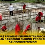 InCollage_20251204_200045546