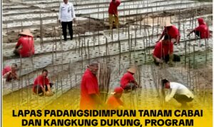 InCollage_20251204_200045546