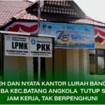 InCollage_20251205_194658883