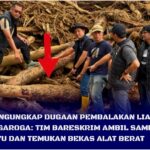 InCollage_20251209_121621770