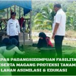 InCollage_20251209_123101125