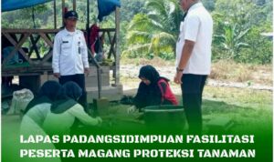 InCollage_20251209_123101125