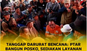 InCollage_20251209_231648305