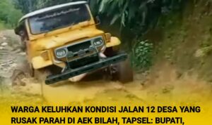 InCollage_20251213_193339359