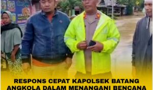 InCollage_20251214_182052853