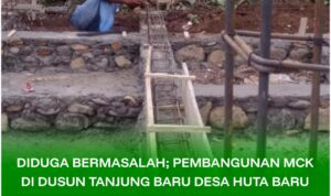 InCollage_20251216_012423911