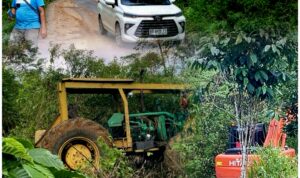 InCollage_20251218_193138812