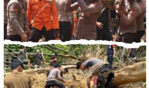 Screenshot_20251208-201830~2