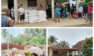 Screenshot_20251211-112654