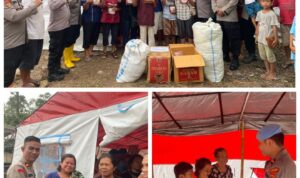 Screenshot_20251215-174256