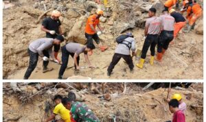 Screenshot_20251217-203711