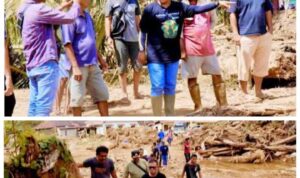 Screenshot_20251221-115625