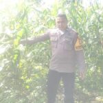 IMG-20260210-WA0048