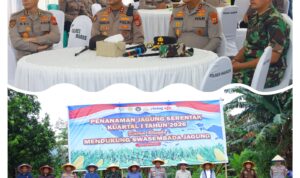 IMG-20260308-WA0190