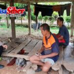 IMG-20260417-WA0071